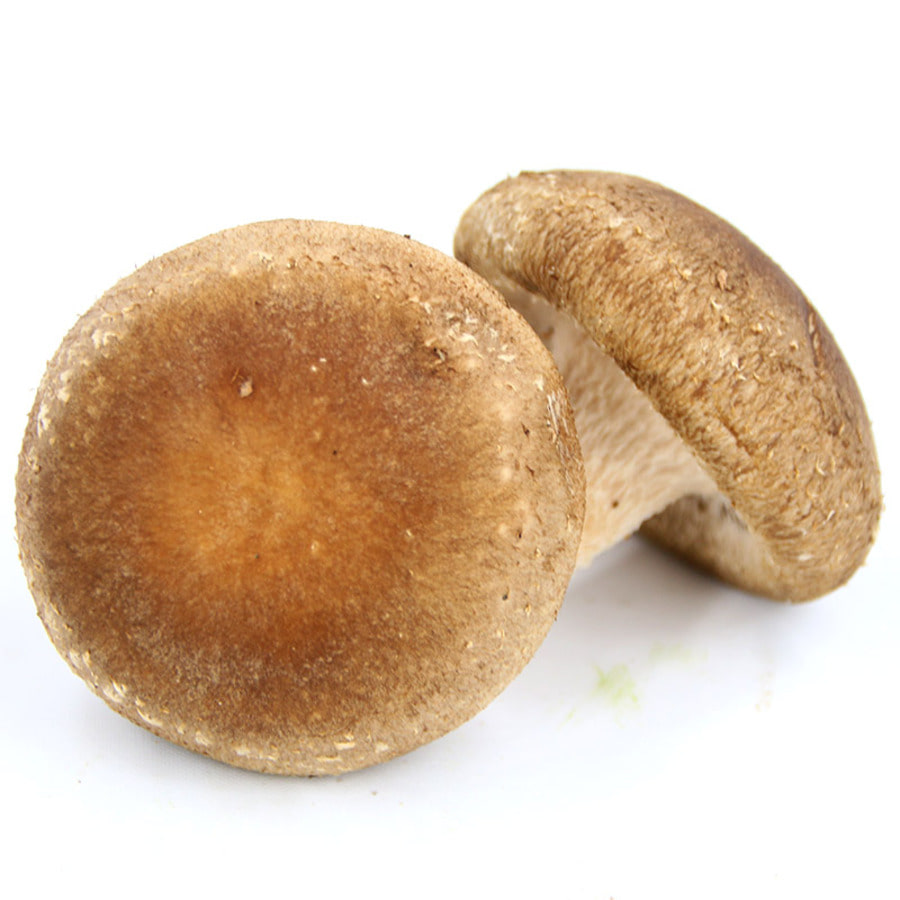 유기농 표고버섯(200g)
